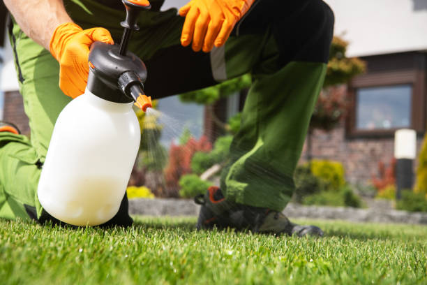 Best Residential Pest Control  in Villa Hills, KY