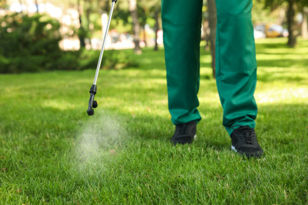 Best Pest Control Near Me in Villa Hills, KY
