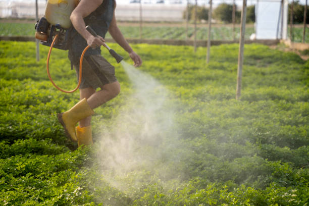 Pest Prevention Services in Villa Hills, KY